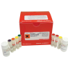 TransPlex® Complete Whole Transcriptom Amplification Kit